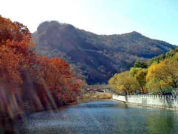 新澳天天开奖资料大全旅游团，反间谍小说